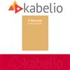 Kabelio Codice di accesso Kabelio Renewal 9 mesi
