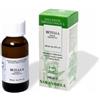 BETULLA 100ML TM - - 911169062