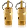 CoreNail 2 valvole di sicurezza ad aria compressa 1/4 pollici, 125 PSI, in ottone, valvola di sovrapressione 1/4 AG, 1/4 BSP, valvola di sicurezza per compressore d'aria da 8,5 bar