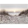 murando Carta da parati Mare Spiaggia 500x350 cm Fotomurali in TNT Murale alla moda Decorazione da Muro XXL Poster Gigante Design Cameretta Carta per Pareti Soggiorno Paesaggio Tramonto c-C-10028-a-a