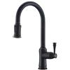 PHASAT Miscelatore Cucina,Rubinetto da Cucina con Doccetta Estraibile 360° Girevole Monocomando per Lavandino KZ06