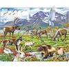 Larsen FH14 Flora e fauna della tundra artica, Puzzle Incorniciato con 50 pezzi