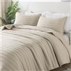 R.SHARE Copriletto Matrimoniale Estivo 300 × 270 cm, Grano Trapunta Matrimoniale Primaverile, 100% Microfibra Trapuntato, Coperta Divano Giorno Ultra Morbida, OEKO TEX(senza federa)
