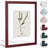 Haak Cornice doppia in vetro Miko rosso scuro 30 x 60 cm