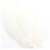 AMateschitz Piume di struzzo naturale, 30 - 35 cm, belle piume decorative per il fai da te, decorazioni per matrimoni, feste, costumi per la casa, colore bianco, 20 pezzi