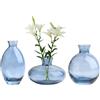 KMERCE Vaso di fiori in vetro, vaso decorativo trasparente, decorazione da tavolo, matrimonio, champagne, boheme, battesimo, compleanno, regalo per la festa della mamma (blu, 2)