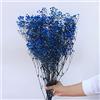 YIWOYI Bouquet di fiori secchi naturali, Gypsophila paniculata, ideali per feste di nozze o decorazione della casa, 15-30 cm, 20 g, blu royal