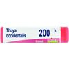 Boiron Thuya Occidentalis 200K Globuli Tubo