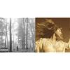 Fearless (Taylor'S Version) & Folklore