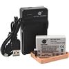 QIAO JIN LIN DSTE LP-E8 - Batteria agli ioni di litio e caricatore micro USB compatibile per Canon EOS 550D 600D 650D 700D Kiss X4 Kiss X5 Kiss X6i X7i Rebel T2i T3i T4i T5i