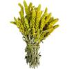 AgoraMarket Tè di Montagna Greco Biologico Certificato Sideritis Scardica 220g - 5Kg Qualità Premium (460 grammi)