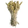 AgoraMarket Tè di Montagna Greco Malotira 220g - 1.95Kg Sideritis syriaca Qualità Premium (1950 grammi)
