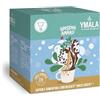 Generico 16 Capsule compatibili con Nescafé Dolce Gusto - Ginseng Amaro, 1 confezione da 16, confezioni Ymala