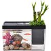 Generic acquario - Miniatura trasparente, acquario, mini serbatoio | per pesci da tavolo per Betta, gamberetti, decorazione per acquario, piccoli animali domestici, display acquatico