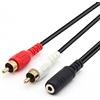 QiCheng&LYS Av out 3.5 mm a rca, av to av,cavo video camcorder, 3.5 mm femmina a RCA maschio Stereo audio video cavo AUX per MP3/PC (20CM)