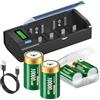 Palogreen Caricabatteria universale ricaricabile con batteria D 10000mAh, caricabatteria rapida LCD per batterie ricaricabili AA/AAA/SC/C/D Ni-MH, con funzione di scarico