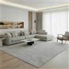 Jimri Fashion4Home Tappeto Liscio Monocolore per Soggiorno, Camera da Letto, Studio, Ufficio, Corridoio e Cucina - Pelo Corto Argentato, 120x170 cm