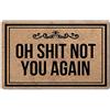 MsMr Funny Divertente zerbino per entrata con scritta "Oh Shit Not You Again" Zerbino con design creativo Zerbino per interno e esterno decorativo Materiale superiore non tessuto 45,7 x 76,2 cm
