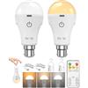 BrightArk Lampadina ricaricabile B22 con telecomando, 3 colori e dimmerabile, luce di emergenza ricaricabile tramite USB, batteria da 2600 mAh fino a 24 ore, nessun cablaggio necessario per interruzioni di