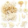 iDattel Fiori secchi Naturali, Mix di Fiori Naturali, per Fai da Te, Set di Fiori essiccati Naturali, per lavori artistici, Fai da Te, in Resina, Album di Ritagli, Biglietti di Auguri (Bianco)
