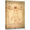 1art1 Leonardo da Vinci Poster Stampa Artistica su Tela Uomo Vitruviano, 1490 Circa Quadro da Parete sulla Barella | Murale XXL | Immagine 40x30 cm