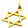 PEGASO GIOIELLI - Ciondolo da Donna in Oro Giallo 18kt (750) Pendente Stella di David - Uomo Bambini