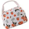 FGDTREE Contenitore portatile per il pranzo, scuola, viaggi, cibo, borsa da picnic portatile per pranzi all'aperto e pendolarismo quotidiano, borsa termica termica per picnic