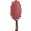 Dunlop Sports Dunlop Tabletennisbat Evolution 3000