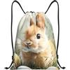Generic Tasche con Coulissesacca da Palestra per Shopping All'Aperto Vacanze 36X42Cm Moda Unisex Borsa con Cordoncino Easter Bunny