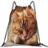Generic Zaino con Coulisse Sleeping Oranges Cat Borsa con Coulisse Leggero Sacchetta Sportiva Pieghevole Drawstring Backpack per Scuola Viaggi Spiaggia