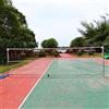 Generic Bastoni da badminton da pallavolo per cortile, set di rete con sistema anti-abbassamento in acciaio, pali regolabili in alluminio, borsa per il trasporto inclusa