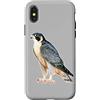 Urban Empyre Custodia per iPhone X/XS Falco pellegrino x Falco