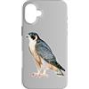 Urban Empyre Custodia per iPhone 16 Plus Falco pellegrino x Falco