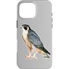 Urban Empyre Custodia per iPhone 16 Pro Max Falco pellegrino x Falco
