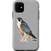 Urban Empyre Custodia per iPhone 11 Falco pellegrino x Falco