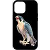 Urban Empyre Custodia per iPhone 12 Pro Max Falco pellegrino x Falco