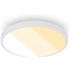 Briloner - Plafoniera LED, 18W 2000lm, 2700K 3000K 4000K, IP44 protezione dagli spruzzi, plafoniera luminosa, lampada bagno, lampada cucina, 24 x 6 cm, Bianco