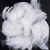 Ziranee Piume Bianco,300 PCS Piume per Artigianato Piume Decorative Naturali Piume per Acchiappasogni Fai Da Te Cappelli Costume modisteria Decorazioni per Feste a Casa Nozze 8-12cm