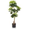 HJH Office 871015 Pianta artificiale SCHEFFLERA Aralia artificiale altezza 100 cm Pianta artificiale albero decorazione ambiente