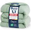 CozyLux Piumone Matrimoniale 220x240 cm per 4 Stagioni, Trapunta Invernale 220 x 240, Piumone Letto in Microfibra 300 g/m², Morbido, Caldo e Traspirante, Lavabile in Lavatrice, 240x220, Verde salvia