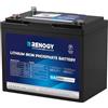 Renogy 12 V 100 Ah Batteria LiFePO4 al Litio per Motori da Traino con Bluetooth, BMS 150 A, 6000+ Cicli, Batteria a Scarico Profondo, Batteria Solare 12 V 100 Ah per Motore da Traino, Cabine, Marine