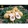 INCA Formaggio Pasta Filata Diavoletto Prodotto In Penisola Sorrentina Conf. da 1 Kg. 6 Pz (Olive e Peperoncino)