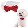 SUNTRADE Collare formale regolabile con papillon per cani e gatti, costume da toelettatura per matrimoni (L, rosso)