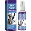 GNAUMORE Spray anti graffio per gatti, divano, spray antigraffio, ideale per uso interno ed esterno con gatto e gattini, 100 ml, spray repellente per gatti, per proteggere divano e mobili