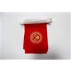 AZ FLAG Ghirlanda 6 Metri 20 Bandiere Kirghizistan 21x15cm, Bandiera Kirghisa 15 x 21 cm - Festone Bandierine