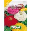 L'ORTOLANO Sementi da fiore di qualità in bustina per uso amatoriale (ZINNIA GIGANTE DELLA CALIFORNIA DOPPIA IN MISCUGLIO)