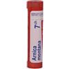 BOIRON SRL Boiron Arnica Montana 7CH Granuli Confezione da 4g 80 granuli