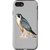 Urban Empyre Custodia per iPhone SE (2020) / 7/8 Falco pellegrino x Falco