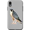 Urban Empyre Custodia per iPhone XR Falco pellegrino x Falco