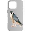Urban Empyre Custodia per iPhone 16 Pro Falco pellegrino x Falco